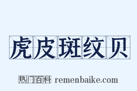 虎皮斑纹贝是什么意思的图片